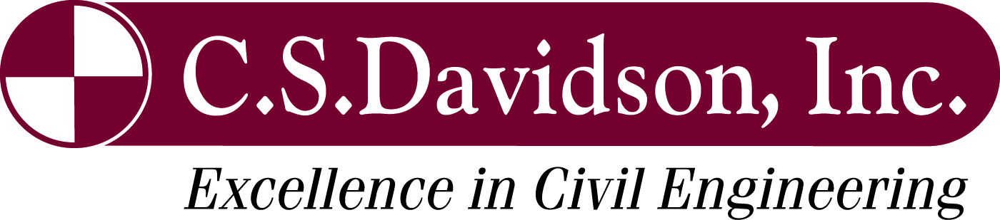 CSD Logo-Excellence 195.jpg